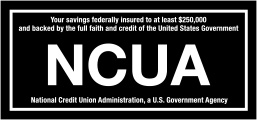 Your savings federally insured to at least $250,000 and backed by the full faith and credit of the United States Government. National Credit Union Administration, a U.S. Government Agency.
